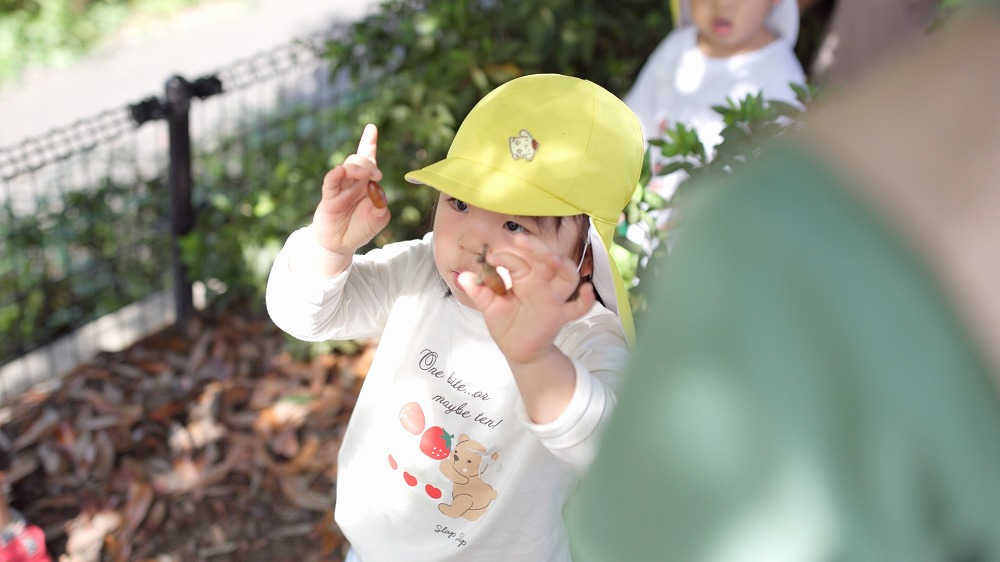 自然・教育プログラム