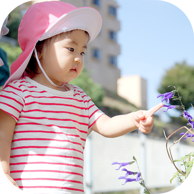 どんぐり保育園